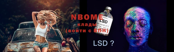 прущий лед Алзамай