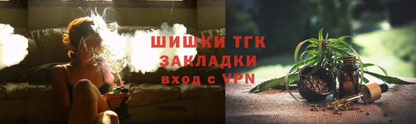 мет Алексин