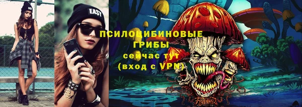 прущий лед Алзамай