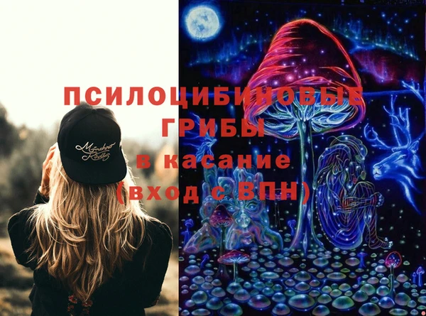 мет Алексин