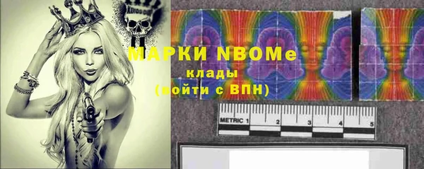 мет Алексин