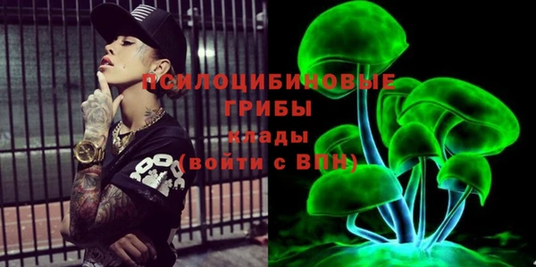 мет Алексин