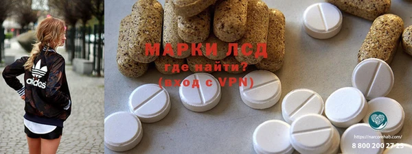 прущий лед Алзамай