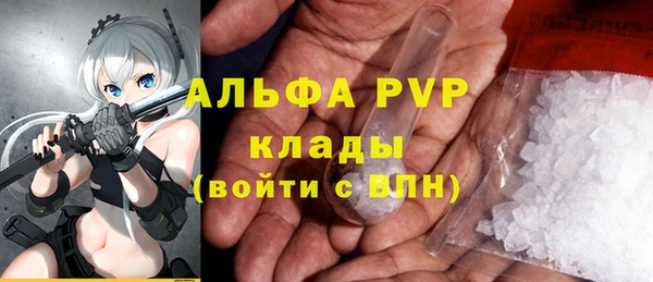 мет Алексин