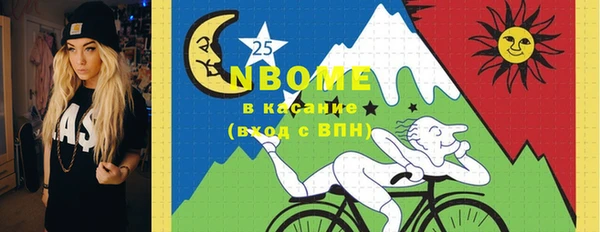 мет Алексин