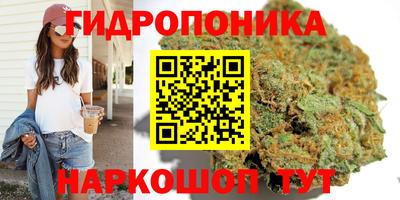 стафф Заволжье