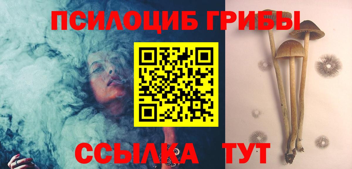 Галлюциногенные грибы Psilocybine cubensis  Вход с VPN  Псилоцибиновые грибы Magic Shrooms  Лесосибирск 